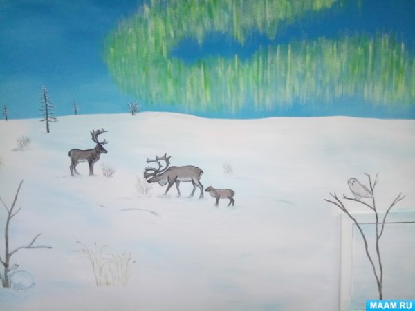 Тундра рисунок