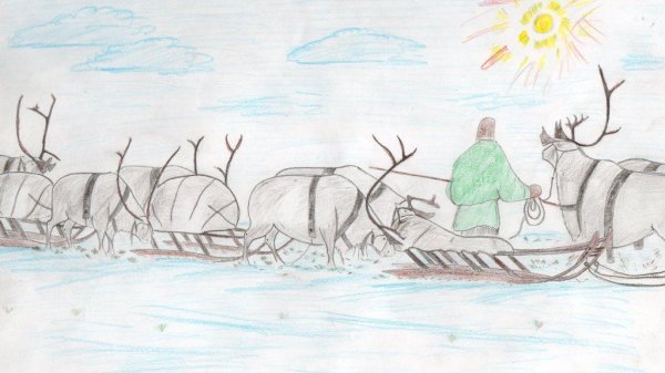 Тундра рисунок