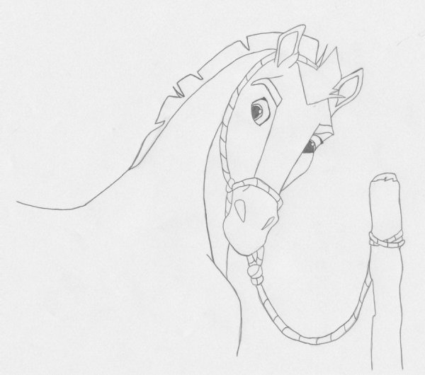 Спирит душа прерий для срисовки