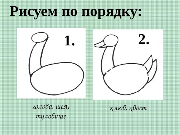 Схема рисования гуся