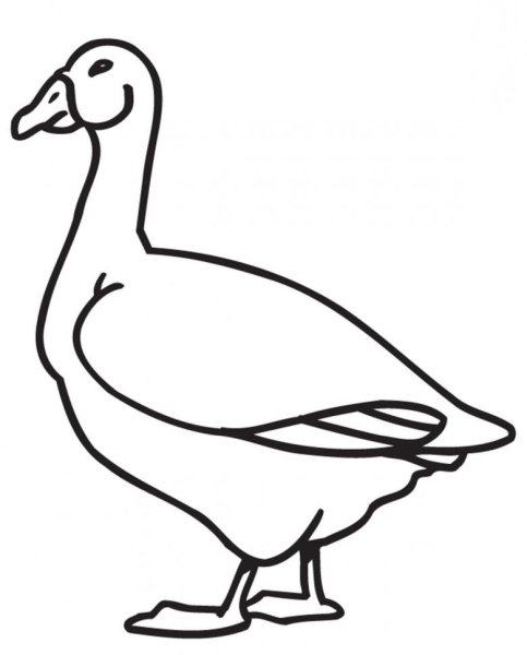 Гусь рисовать