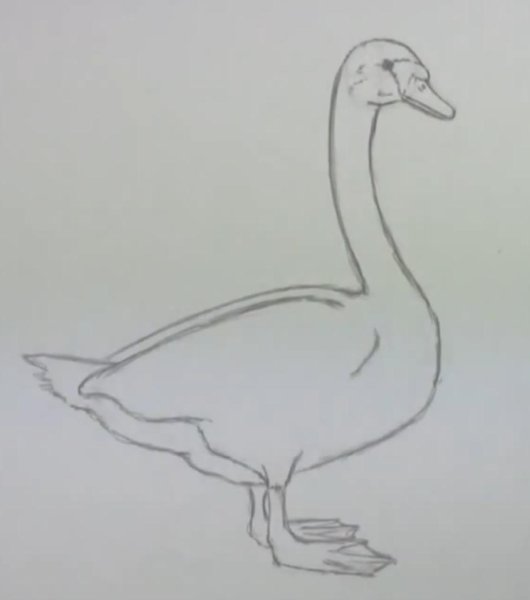 Поэтапное рисование гуся