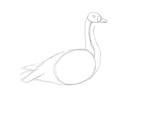 Рисование гуся