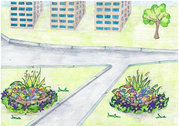 Озеленение школьного двора проект