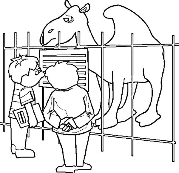 Зоопарк раскраска для детей