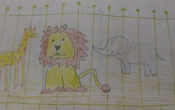 Рисование животных в зоопарке