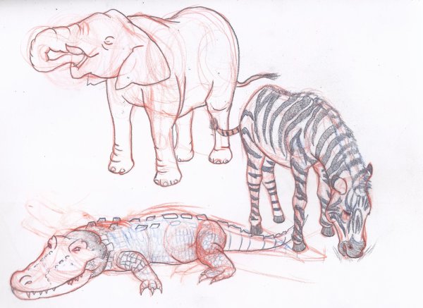 Скетчи животных из зоопарка