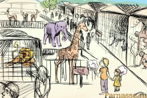 Зоопарк рисунок