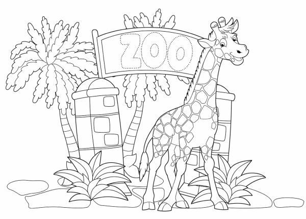 Зоопарк раскраска для детей