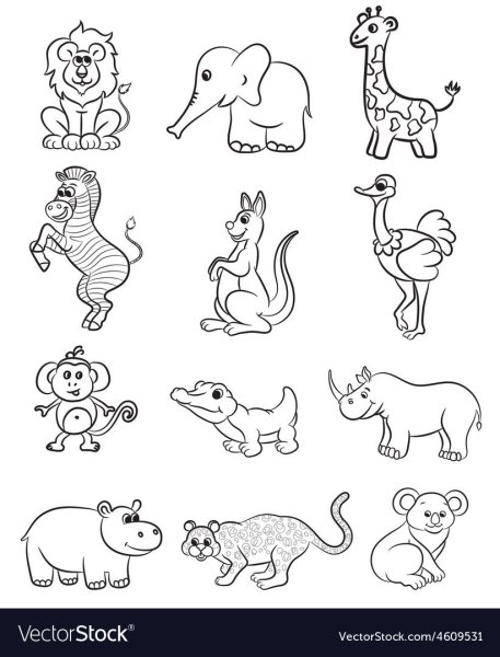 Контура животных много