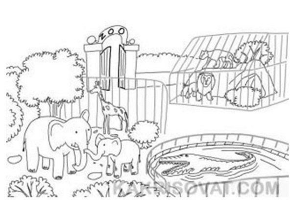 Московский зоопарк раскраска для детей