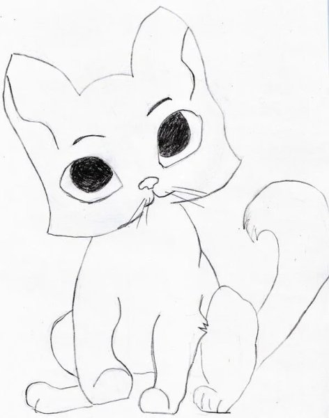 Котята для срисовки карандашом легкие
