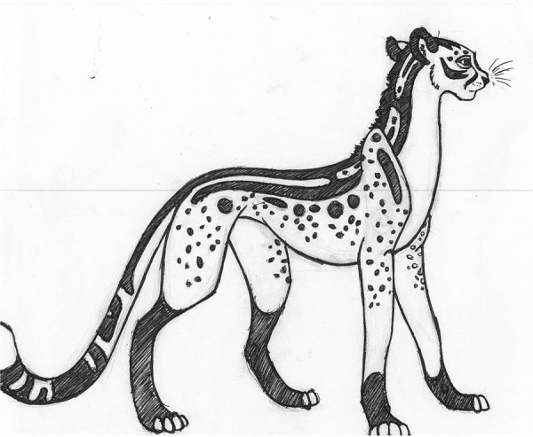Гепард рисунок карандашом