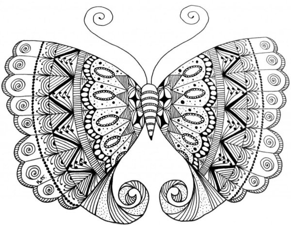 Зентангл бабочка