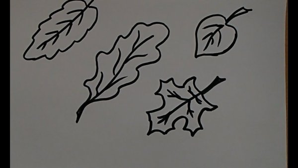 Рисунки на маленьком лесточки