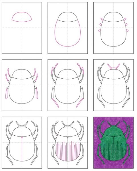 Поэтапное рисование жука