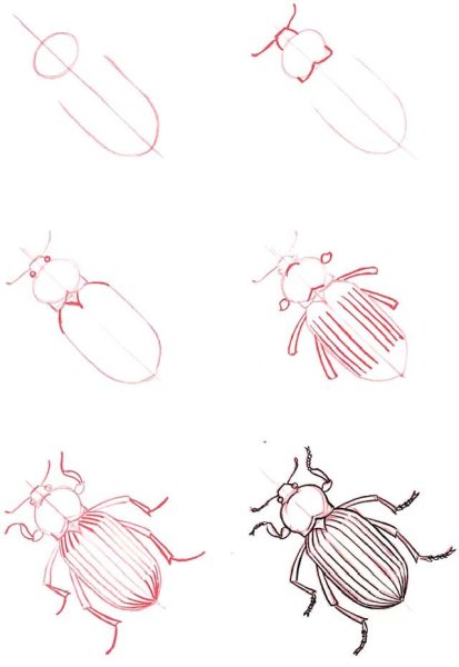 Жук навозник раскраска