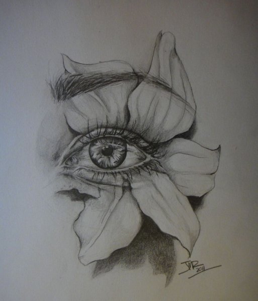 Глаз эскиз