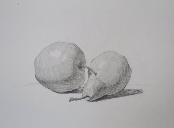 Натюрморт карандашом легкий