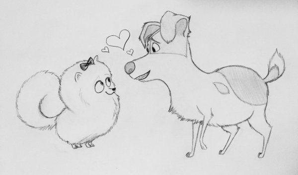 Рисунки домашних животных для срисовки