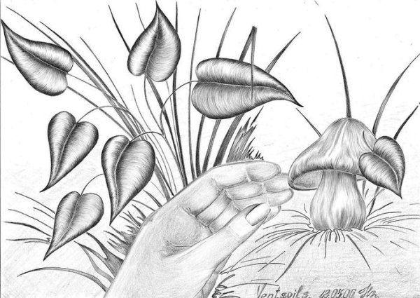 Темы для рисования карандашом