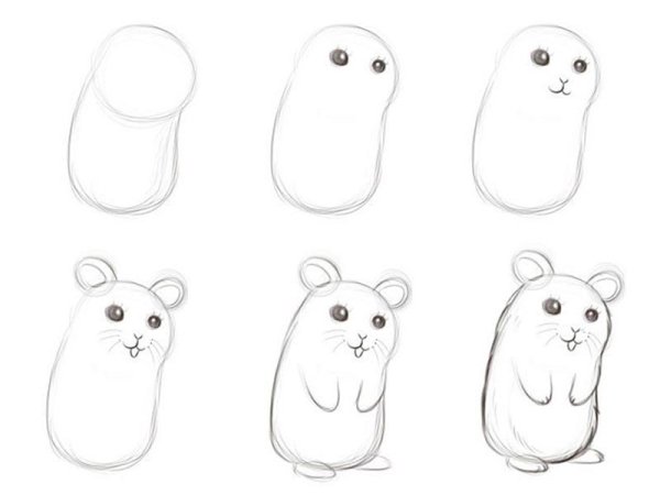 Поэтапное рисование хомяка