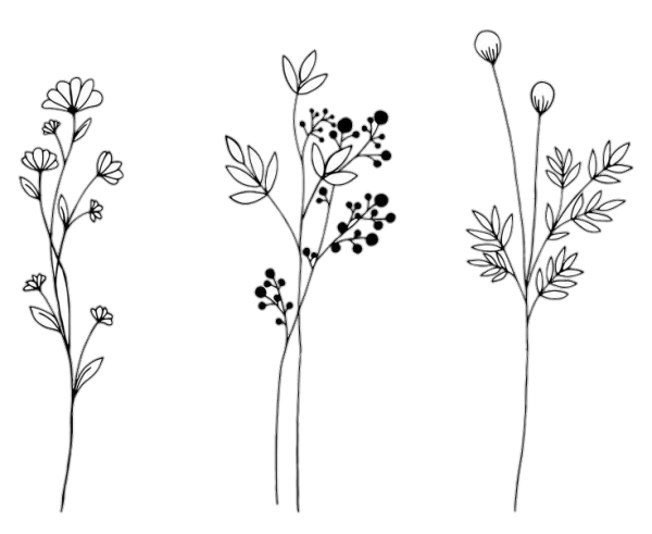 Ветки с листьями для рисования