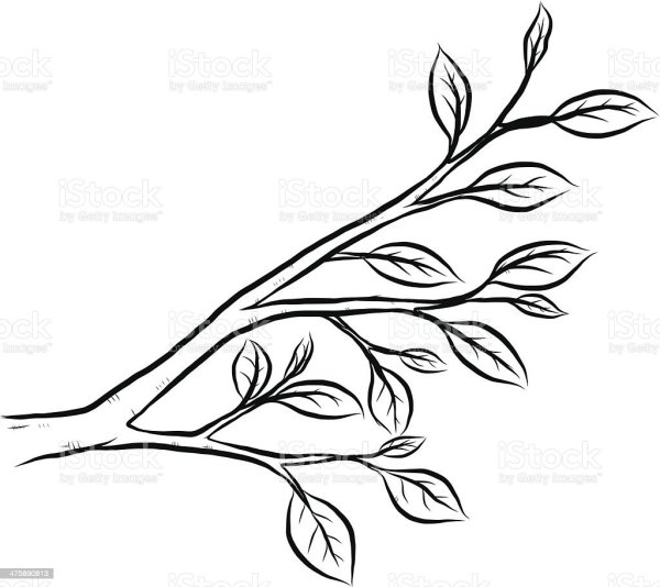 Тату ветка цветов