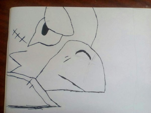 Рисунки на альбомном листе