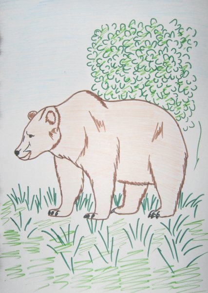 Рисунок на тему заповедник