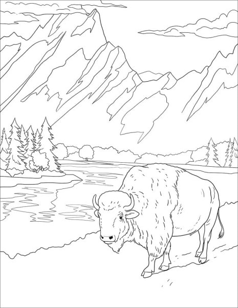 Северный олень раскраска