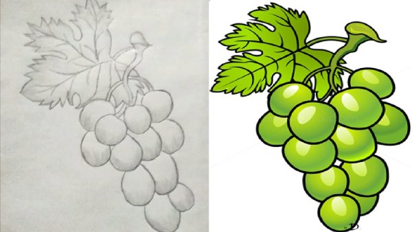 Рисование гроздь винограда