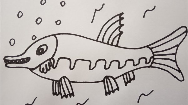 Щука раскраска для детей