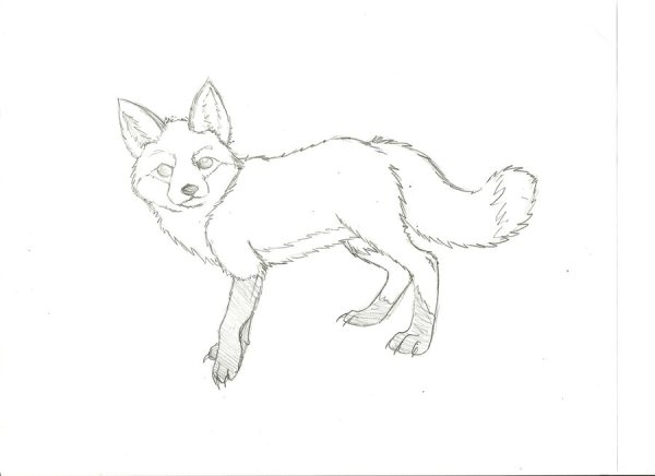 Лисичка рисунок карандашом