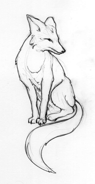 Лиса карандашом для срисовки