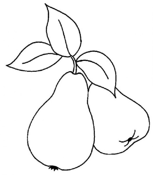 Груша раскраска