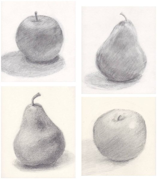 Груша рисунок карандашом