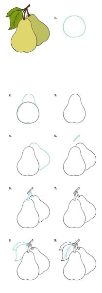 Поэтапное рисование яблока и груши