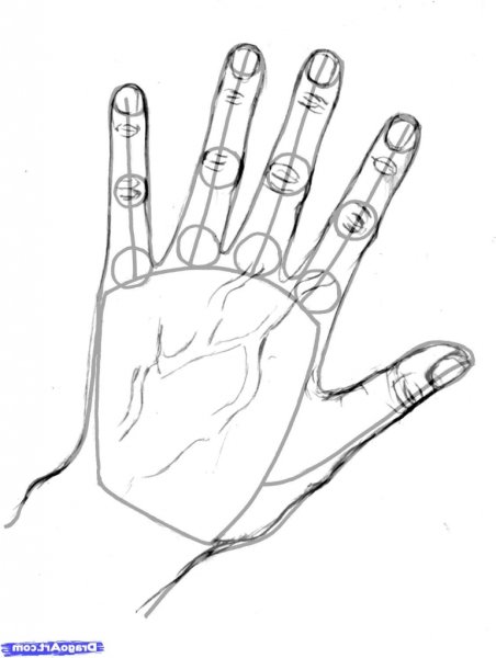 Нарисовать пальцы