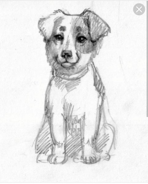 Тургенев Муму Герасим