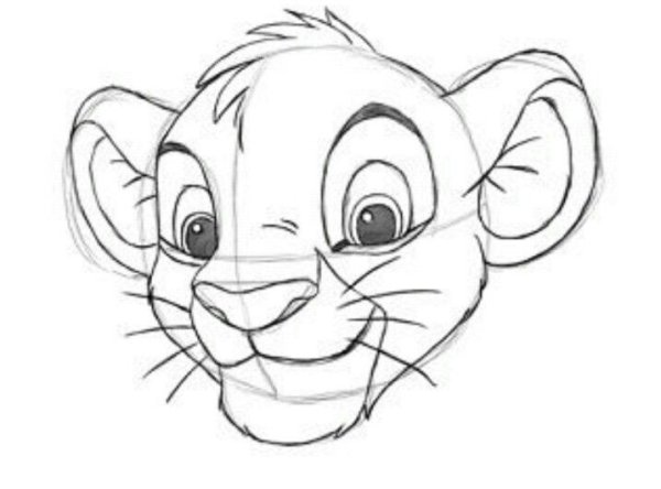 Рисунки для срисовки животные