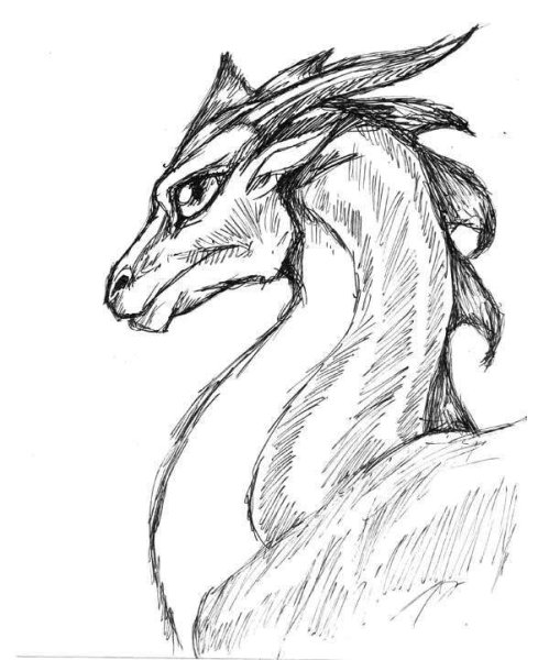 Дракон рисунок карандашом