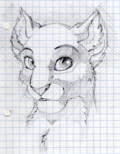 Красивые зарисовки в тетради