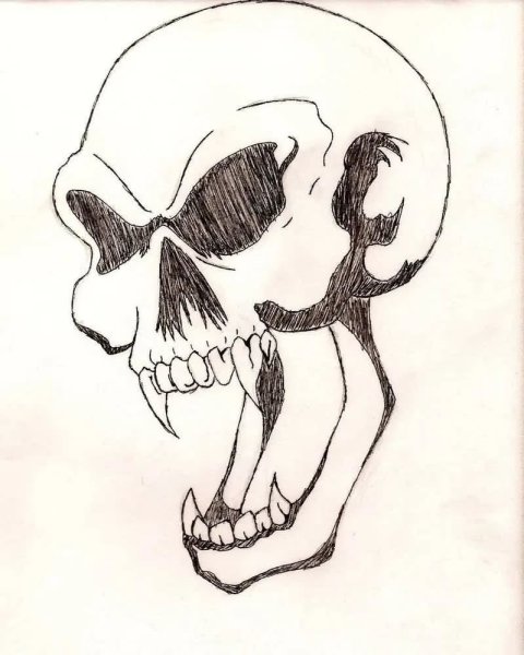 Череп рисунок карандашом