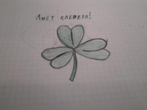 Клевер рисунок поэтапно