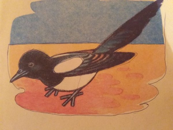 Выскочка пришвин сорока