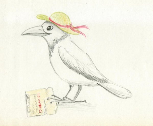 Нарисовать сороку карандашом