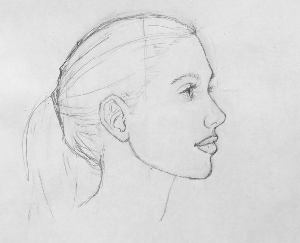 Лицо сбоку рисунок схема