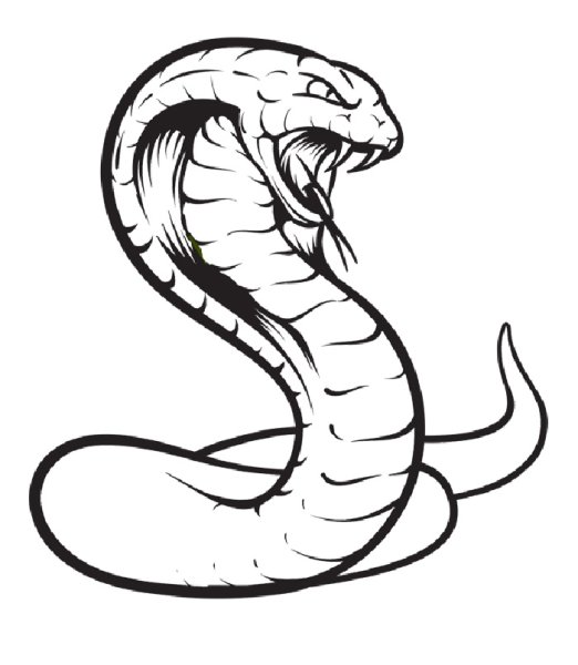 Рисунки змей для срисовки