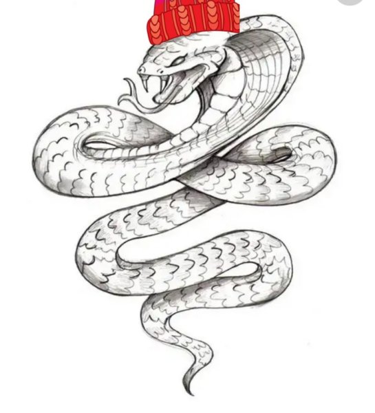 Тату кобры на белом фоне